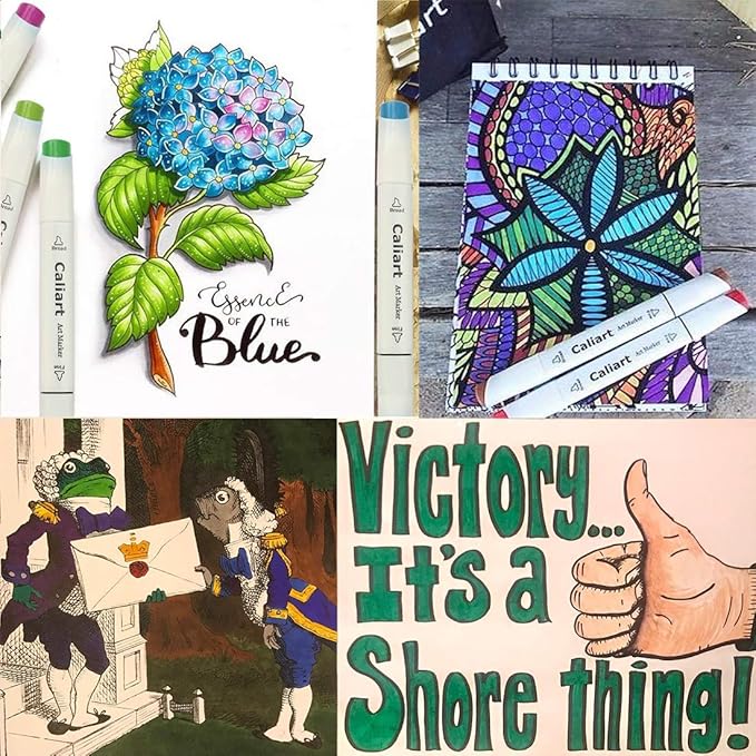 Caliart Alcohol Based Markers, 81 Colors Artist Drawing Markers Set Dual Tip Fine & Chisel Permanent Colored Art Pens, Christmas Gifts for Teen Girls Boys Kids Adults Coloring Book Illustration