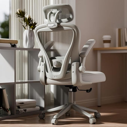 Computer Desk Chair, Ergonomic Office Chair M903 with Wheels, High Back Mesh Office Chair with Adjustable Lumbar Support, Headrest, Flip-Up Armrests, All-Grey
