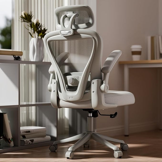 Computer Desk Chair, Ergonomic Office Chair M903 with Wheels, High Back Mesh Office Chair with Adjustable Lumbar Support, Headrest, Flip-Up Armrests, All-Grey