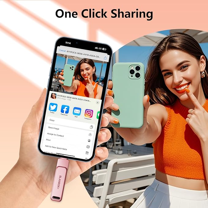 Flash Drive for Photos Videos (Pink, 256GB)