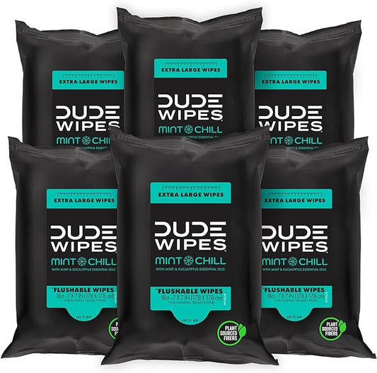DUDE Wipes - Flushable Wipes Travel Pack - 6 Pack, 108 Count - Mint Chill Extra-Large - Vitamin-E, Aloe Vera, Eucalyptus, and Tea Tree Oils - Septic and Sewer