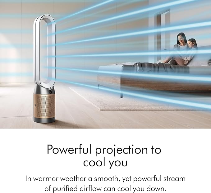 Dyson Purifier Cool PC2 De-NOx
