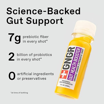 +GNGR Gut Health Booster – Prebiotic and Probiotic for Women & Men - Digestive Health, Immune Support, Bloating & Constipation Relief | Organic Ginger Shot with Apple Cider Vinegar 2 fl oz (12-Pack)