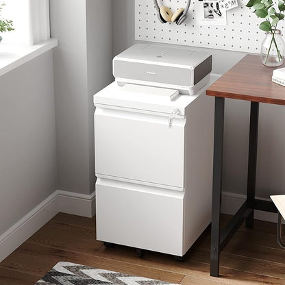 Letaya 2 Drawer Mobile File Cabinet with Lock,Under Desk Metal Filing Cabinets for Home Office Organizer Letters/Legal/A4(White-Requires Installation)