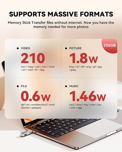 MFi Certified 256GB iPhone Photo Stick, USB Flash Drive for Photo/Video Backup, High-Speed Thumb Drive Compatible for iPhone/iPad/Android/PC (Silver)