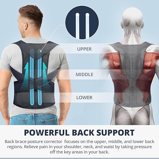 Fitsupport Back Brace Posture Corrector for Women and Men Back Lumbar Support Shoulder Posture Support for Improve Posture Provide and Back Pain Relief Large(Pack of 1)