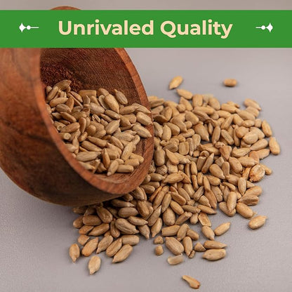 Sincerely Nuts Organic Sunflower Seed Kernels Raw (No Shell) (5lb bag) | Nutritious Antioxidant Rich Superfood Snack | Source of Protein, Fiber, Essential Vitamins & Minerals | Vegan and Gluten Free