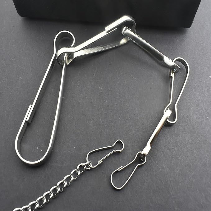 60 pcs Stainless Steel Small Spring Hooks 1inch/25mm Lanyard Clasp Zipper Snap Clips for Key Chain ID Card Badge Holders