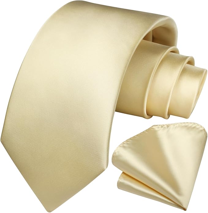HISDERN Mens Solid Color Ties Formal Satin Necktie and Pocket Square Set Classic Wedding Business Tie & Handkerchief