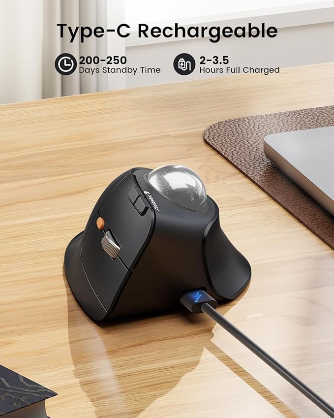 ProtoArc Vertical Wireless Trackball Mouse, EM05 NL Bluetooth Ergonomic Rollerball Mouse Rechargeable Computer Laptop Thumb Mice, 3 Device Connection, Compatible with iPad, Mac, Windows, PC-Silver
