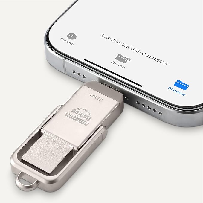Amazon Basics USB Flash Drive, Thumb Drive Memory Stick with USB C and USB A Dual Ports, 512GB, Champagne Silver