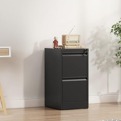 2-Drawer Locking Vertical File Cabinet, Metal Storage Cabinet for Office/Home – Secure Vertical Filing for Letter/Legal/A4/F4 Documents, Easy to Assemble Steel Cabinet, Black (Black, 2 Drawer-28 H)