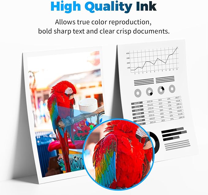 Remanufactured Ink Cartridge Replacement for Canon Ink 243 and 244 Combo Pack PG-243 CL-244XL 245XL 246XL for TR4520 MX490 MX492 MG2522 TS3322 TS3122 MG2520 MG2922 TR4522 TS202 (Black Tricolor)