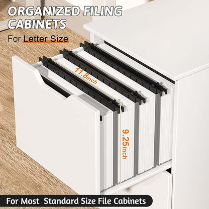 Extra Capacity Plastic Hanging File Folder Letter Size,12 Pack Reinforced Hang Folders with Heavy Duty 2 Inch Expansion,Durable Hanging Organizer Designed for Bulky Files(Black)