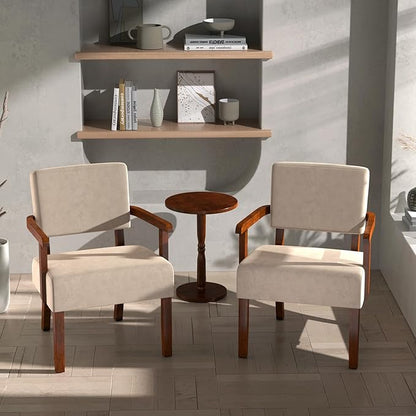 Accent Chair, Cat-Scratch Velvet Living Room Chairs Oversize with Soft Seat and Armrests for Dinning Room Bedroom Reading Room Waiting Room