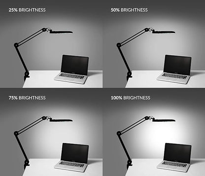Neatfi XL Bifocal LED Magnifying Lamp – 7-Inch Acrylic Lens, 2.25x & 6X Magnification, 1,600 Lumens, Dimmable LED, Adjustable Arm, Hands-Free Close Work (Black, with Clamp)