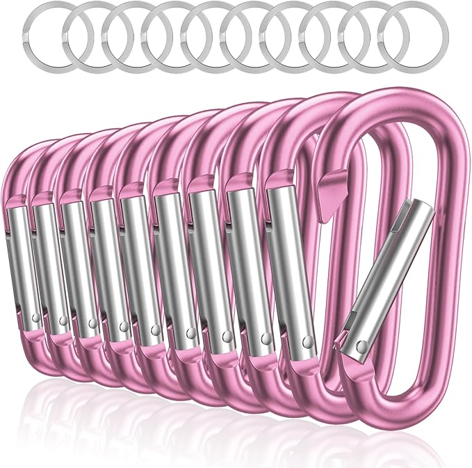 sprookber 3" Aluminum Carabiner D Ring, Caribeener Clips, Spring Snap Hook for Keychain Clip, Set of 10