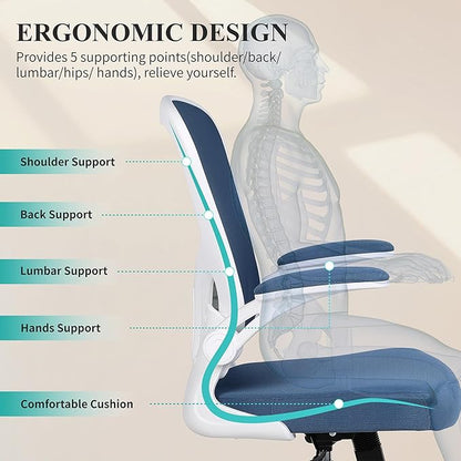 Flysky Ergonomic Office Chair, Mesh Home Office Desk Chair with Flip-up Arms and Lumbar Support, Height Adjustable, Swivel, White & Blue