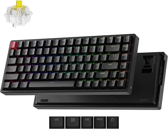 Keychron K2 75% Layout QMK Wireless and Wired Mechanical Keyboard Super Banana Switch, RGB Backlight Aluminum Frame with Shine-Through Double-Shot PBT Keycaps for Mac Windows-Version 3