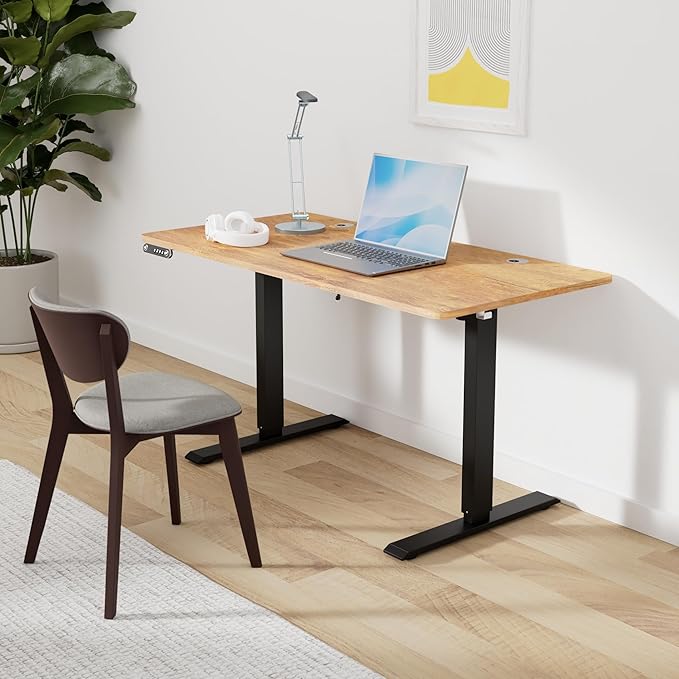 Electric Standing Desk 48 x 24 Inches Adjustable Height Sit Stand Up Desk for Home Office Computer Workstation with 2 USB Ports 3 AC Power Outlets Memory Preset and Wheels, Brown