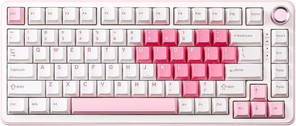 YUNZII B75 PRO Wireless Mechanical Keyboard,75% Layout with Knob,Hot Swap Gasket Structure,Creamy Pre-lubed Switches,RGB Backlit,Bluetooth/Type-C/2.4G for Win/Mac (White, Milk Switch)