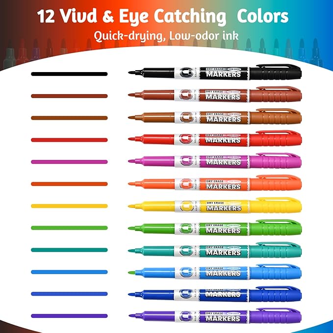 Dry Erase Markers, Bullet Tip Whiteboard Markers, Low Odor Thick Dry Markers, 12 pack Assorted Colors for Kids/Teachers (12 Count 12 Colors)