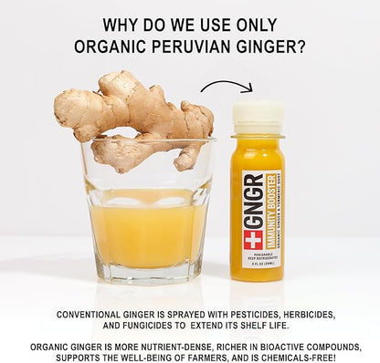 +GNGR Immunity Aid Organic Ginger, Lemon & Honey Shot - Cold Pressed Ginger Shots with Echinacea, Lemon Juice, Honey, Zinc & Vitamin D3, Immune & Digestive Support 2 fl oz (Pack of 12)