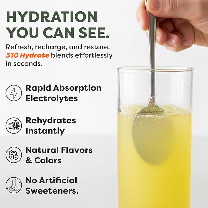 310 Nutrition Daily Energy & Hydration Holiday Gift Box Starter Kit - Includes 6 Servings of Lemonade and 6 Servings Hydrate Variety with Shaker Cup