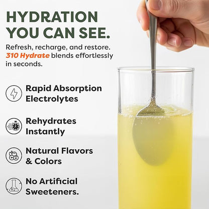 310 Nutrition Daily Energy & Hydration Holiday Gift Box Starter Kit - Includes 6 Servings of Lemonade and 6 Servings Hydrate Variety with Shaker Cup