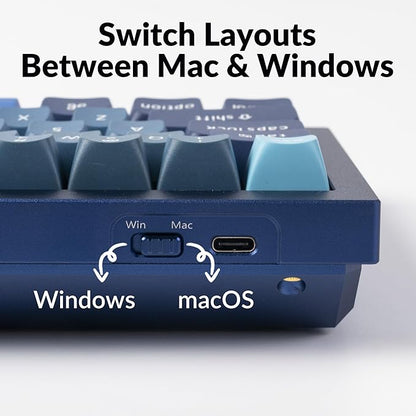 Keychron Q4 Wired Custom Mechanical Keyboard, 60% Layout QMK/VIA Programmable Macro with Hot-swappable Gateron G Pro Red Switch Double Gasket Compatible with Mac Windows Linux (Navy Blue)