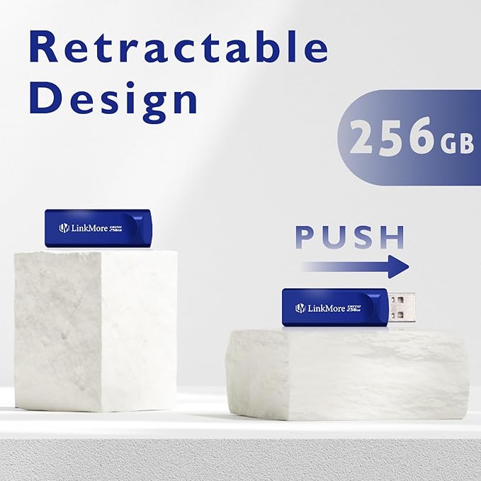 LinkMore EJECT32 256GB USB 3.2 Flash Drive, Read Speed up to 100MB/s, Retractable Design Thumb Drive