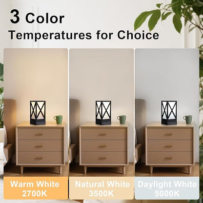 Table Lamp, Set of 2 Rustic Farmhouse Nightstand Lamps, 3 Color Temperatures Desk Lamp with USB Charging Ports AC Outlet Vintage Lamp for Living Room Bed Room, Black