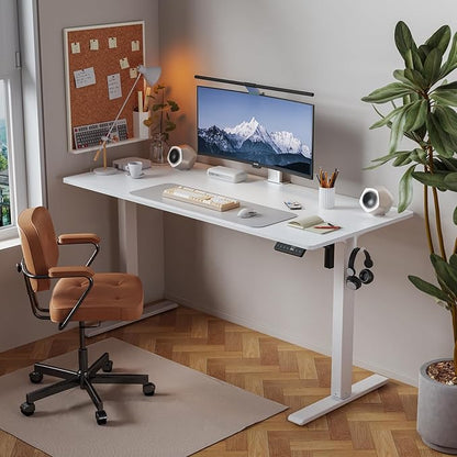 48x24 Inches Height Adjustable Electric Standing Desk with 2 Hooks for Home Office, Ergonomic Sit Stand up Desk with Splice Board, White