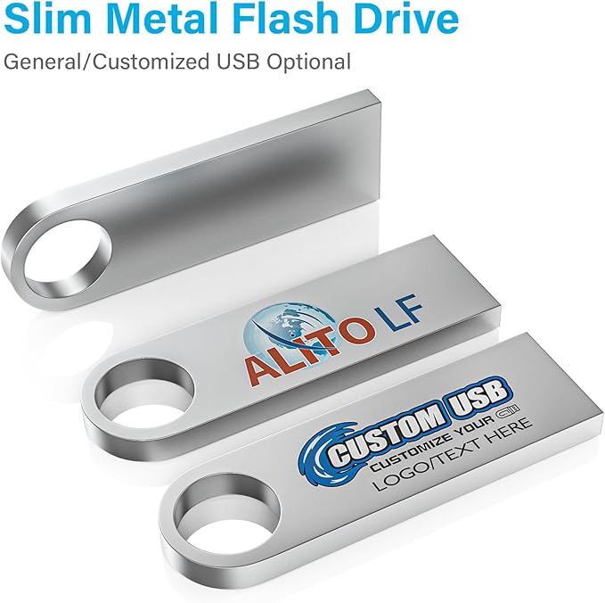 ABLAZE Custom Flash Drive 32GB 10 Pack, Personalized USB with Your Logo Metal Thumb Drives USB 2.0 Memory Stick Pendrive (Sliver)