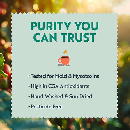Clean Coffee Co. - Low Acid Medium-Dark Roast, Tested for Molds and Toxins, Papua New Guinea Blend, Notes of Milk Chocolate and Roasted Almonds (Whole Bean, 12 oz Bag) (Pack of 2)