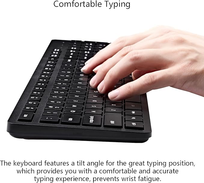 Wireless Keyboard, 2.4G USB External Silent Cordless Keyboard for Windows Chrome Laptop Computer PC Desktop Notebook Chromebook, 106 Keys Full Size with Number Pad (Black)