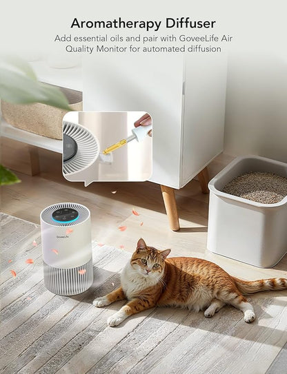 GoveeLife Smart Air Purifiers for Bedroom, Portable Filter Cleaner with WiFi Alexa Control for Pet Hair Odors Pollen Smoke, 24dB Quiet Air Purifier with 3 Speeds, Timer, Aromatherapy for Desktop
