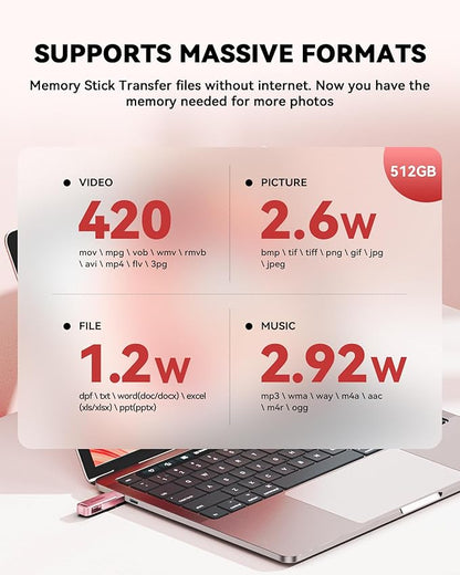 BLANBOK+MFi Certified 512GB iPhone Photo Stick, USB Flash Drive for Photo/Video Backup, High-Speed Thumb Drive Compatible for iPhone/iPad/Android/PC (Pink)