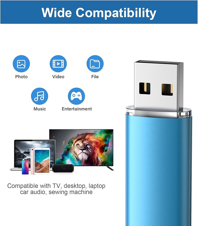 TOPESEL USB Flash Drive 50 Pack 2GB USB 2.0 Flash Drive High Speed 4G Memory Stick for PC Laptops, Tablets, TVs, Car Audio (Blue)