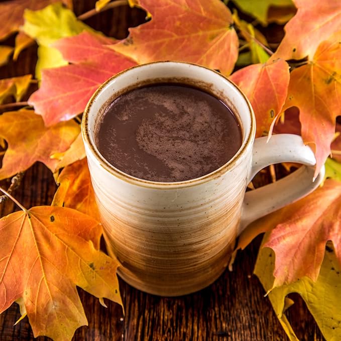 Double Donut Pumpkin Spice Hot Chocolate Mix Packets, Flavored Pumpkin Spice Hot Cocoa Mix, 32 Count