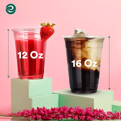ECO SOUL 100% Compostable, Disposable Party Cups | Eco-friendly Party Cups | (1000 Count, 16 oz Cold Cups)