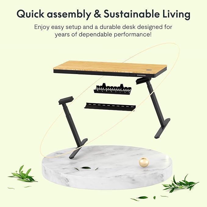FLEXISPOT Q8 55" Bamboo Standing Desk, Dual Motor 3 Stages Adjustable Height Electric Computer Workstation w/Wireless Charging, Drawer, Quick Install, 220lbs Capacity (Bamboo Tabletop + Black Frame)