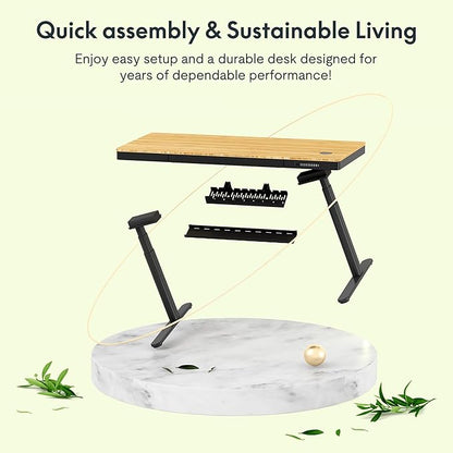 FLEXISPOT Q8 55" Bamboo Standing Desk, Dual Motor 3 Stages Adjustable Height Electric Computer Workstation w/Wireless Charging, Drawer, Quick Install, 220lbs Capacity (Bamboo Tabletop + Black Frame)