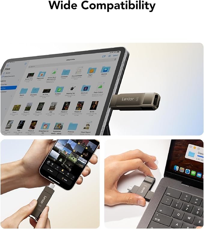 Lexar D40E 64GB Dual USB 3.2 Gen 1 Type-C Jump Drive, USB-C Flash Metal Housing Swivel Design Thumb Drive (Titanium Grey)