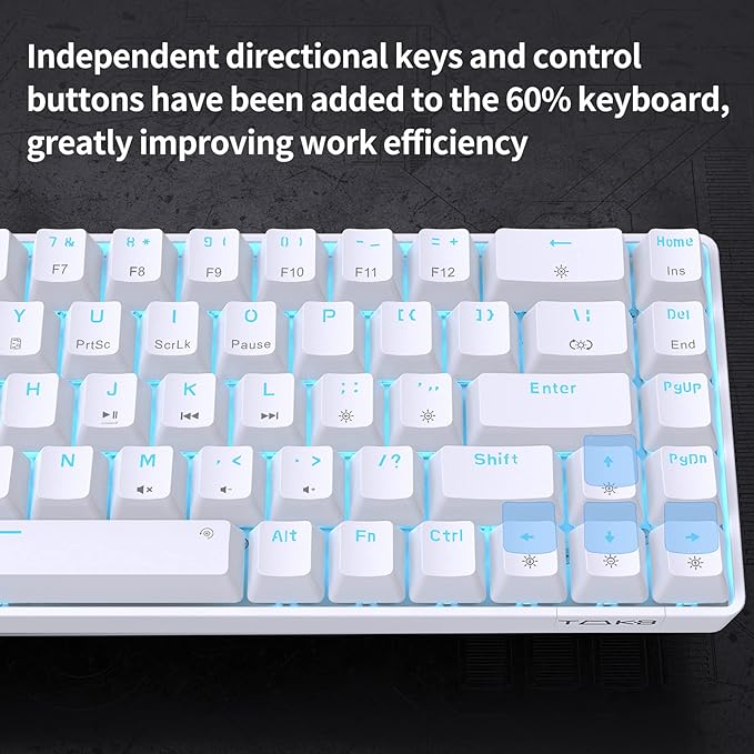 DIERYA T68SE 60% Gaming Mechanical Keyboard,Ultra Compact Mini 68 Key with Red Switches Wired Keyboard,Anti-Ghosting Keys, for Windows Laptops and PC Gamers,White