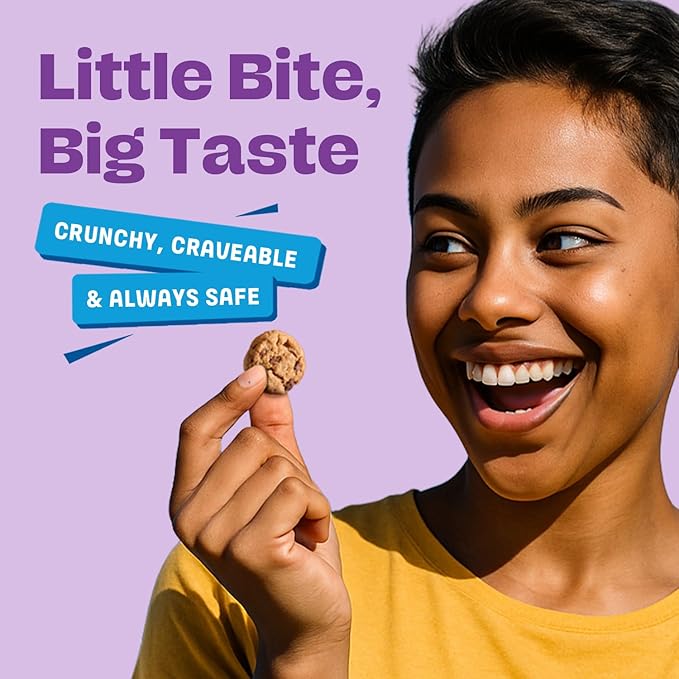 Gluten Free Partake Mini Crunchy Chocolate Chip Cookies + Bonus Bag of Classic Grahams - Vegan - Free From the Top 9 Allergens Including Dairy, Wheat, Soy, Eggs, & Peanuts - Non GMO - Safe School & Office Snack (25 Packs, 0.67 oz)