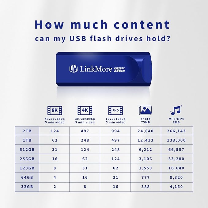 LinkMore EJECT32 256GB USB 3.2 Flash Drive, Read Speed up to 100MB/s, Retractable Design Thumb Drive