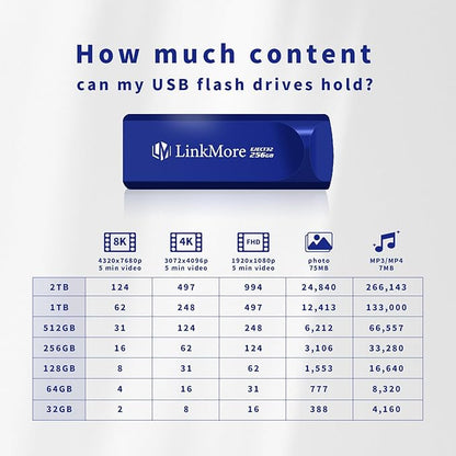 LinkMore EJECT32 256GB USB 3.2 Flash Drive, Read Speed up to 100MB/s, Retractable Design Thumb Drive