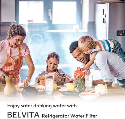 BELVITA Compatible with EDR3RXD1, 4396841, 4396710, Filter 3, 46-9083,46-9030, 9030, 9083 Refrigerator Water Filter (2 Pack)