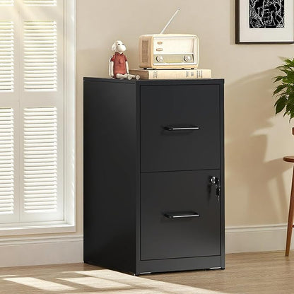 2-Drawer Locking Vertical File Cabinet, Metal Storage Cabinet for Office/Home – Secure Vertical Filing for Letter/Legal/A4/F4 Documents, Easy to Assemble Steel Cabinet (Black, 2 Drawer-25 H)